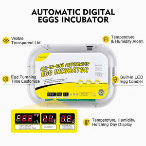 duck egg incubator